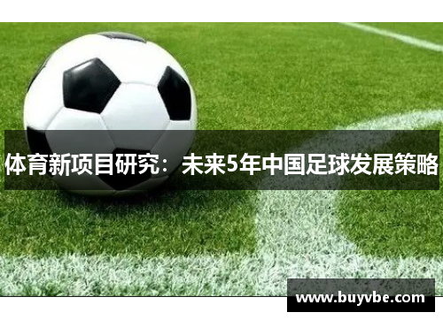 体育新项目研究：未来5年中国足球发展策略